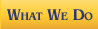 What We Do | water damage repair, water damage home repair, fire damage repair, flood and fire repair, fire and water restoration, fire water damage cleaning restoration, chicagoland